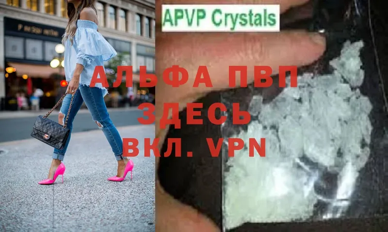 Alfa_PVP СК  Куртамыш 